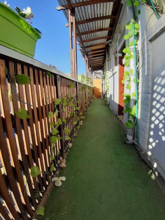 ホテル Star Guest- House Or Yehuda エクステリア 写真